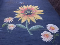 Jacqui’s pretty petals will brighten the deck