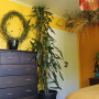 Bedroom painted Resene Pirate Gold and Bright Spark