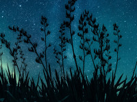 Kiwiana designs for your home to celebrate Matariki 2026