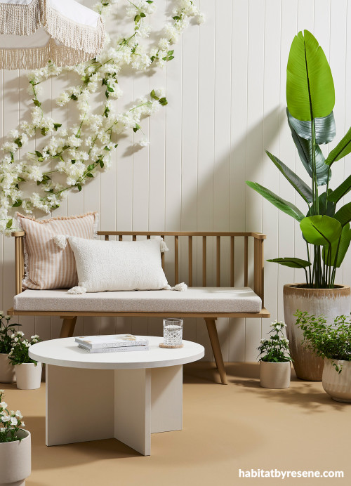 Outdoor patio area with wall and table painted in Resene Albescent White