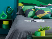 A vibrant, fresh hue to try in your home A vibrant, fresh hue to try in your home