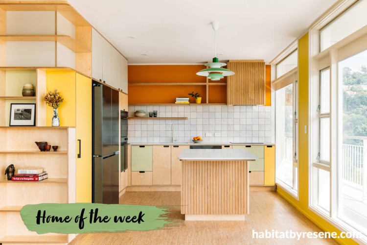 Kitchen featuring a mid-century-inspired colour palette