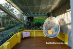 Outdoor garden and patio area featuring yellow and green tones