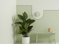 Here’s how to use September’s fresh hue in your home Here’s how to use September’s fresh hue in your home